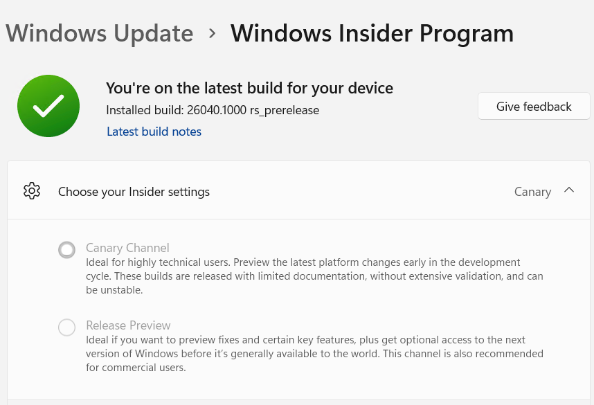 Flighting for Server - ws2025 step 08